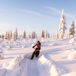 talvipyöräilijä